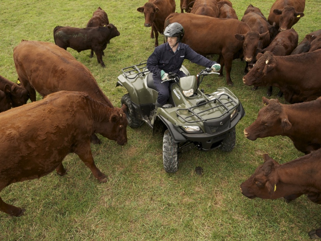 Фото квадроцикла Suzuki KingQuad 750 AXi